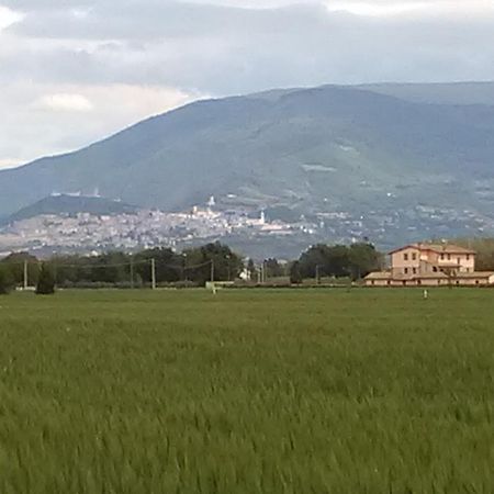 Le Stelle Di San Lorenzo Ξενοδοχείο Bastia Umbra Εξωτερικό φωτογραφία