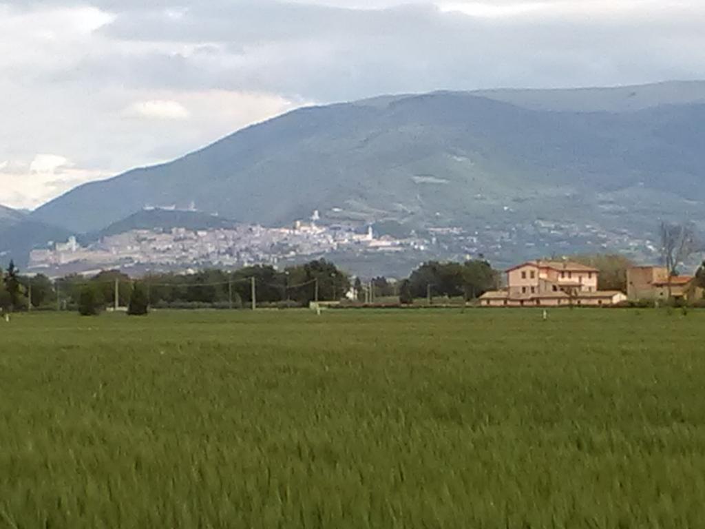 Le Stelle Di San Lorenzo Ξενοδοχείο Bastia Umbra Εξωτερικό φωτογραφία